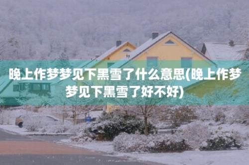 晚上作梦梦见下黑雪了什么意思(晚上作梦梦见下黑雪了好不好)