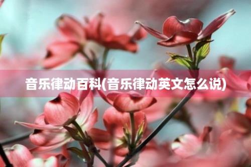 音乐律动百科(音乐律动英文怎么说)