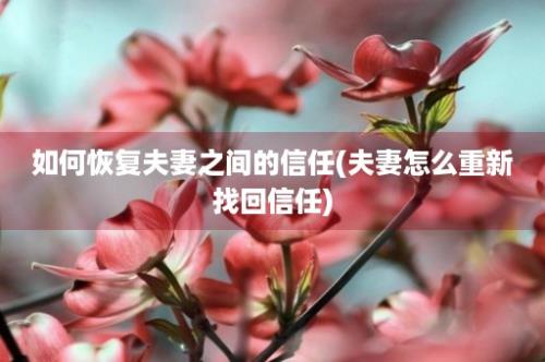 如何恢复夫妻之间的信任(夫妻怎么重新找回信任)