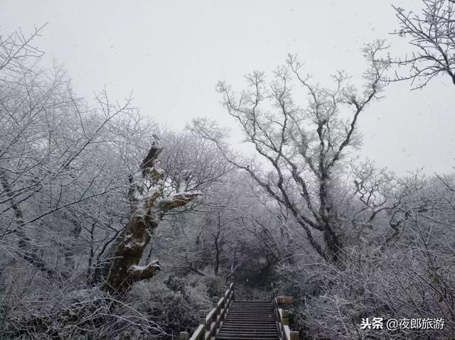 贵州梵净山这几天冷吗（贵州开启冰冻模式）(7)