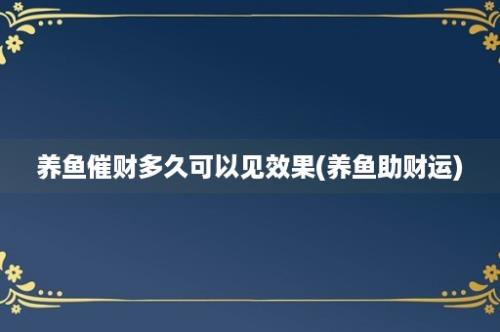 养鱼催财多久可以见效果(养鱼助财运)