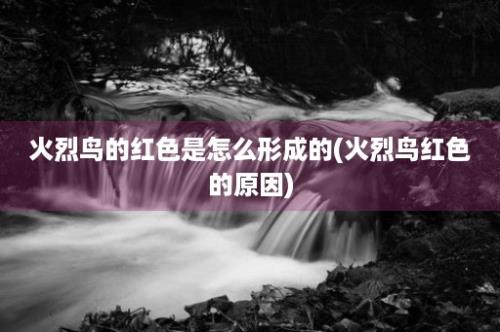 火烈鸟的红色是怎么形成的(火烈鸟红色的原因)