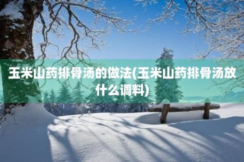 玉米山药排骨汤的做法(玉米山药排骨汤放什么调料)