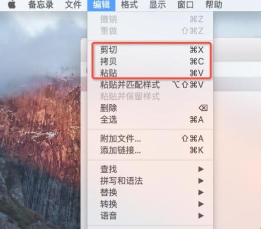 macbook 怎么复制粘贴