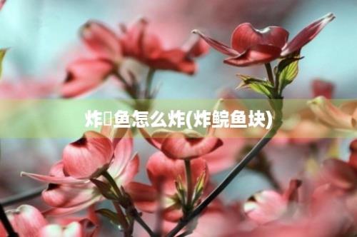 炸蚘鱼怎么炸(炸鲩鱼块)