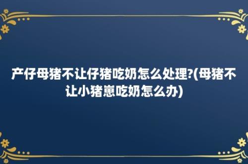 产仔母猪不让仔猪吃奶怎么处理?(母猪不让小猪崽吃奶怎么办)