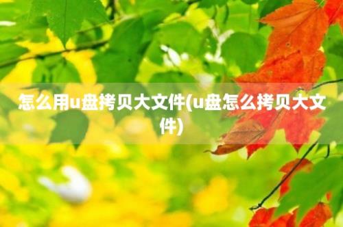 怎么用u盘拷贝大文件(u盘怎么拷贝大文件)