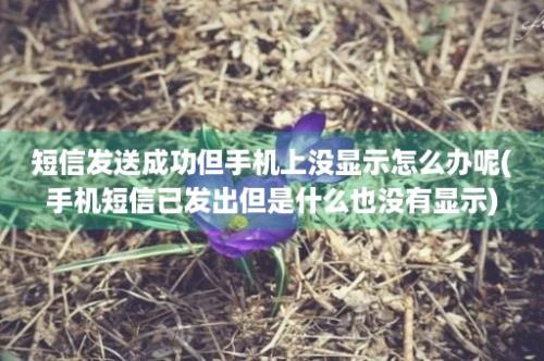 短信发送成功但手机上没显示怎么办呢(手机短信已发出但是什么也没有显示)