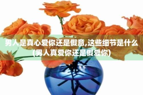 男人是真心爱你还是假意,这些细节是什么(男人真爱你还是假爱你)