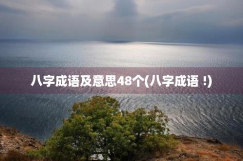 八字成语及意思48个(八字成语 !)