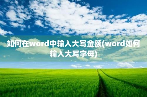 如何在word中输入大写金额(word如何输入大写字母)