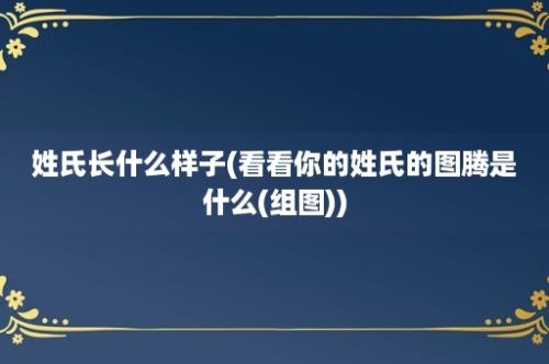 姓氏长什么样子(看看你的姓氏的图腾是什么(组图))