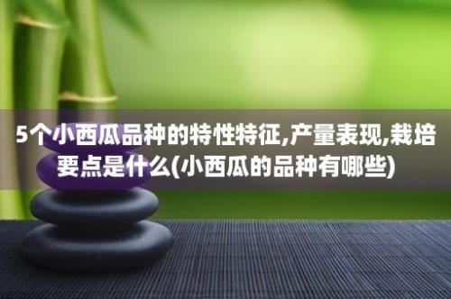 5个小西瓜品种的特性特征,产量表现,栽培要点是什么(小西瓜的品种有哪些)