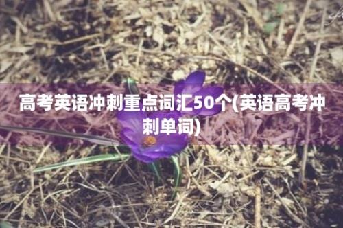 高考英语冲刺重点词汇50个(英语高考冲刺单词)