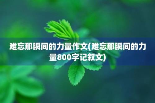 难忘那瞬间的力量作文(难忘那瞬间的力量800字记叙文)