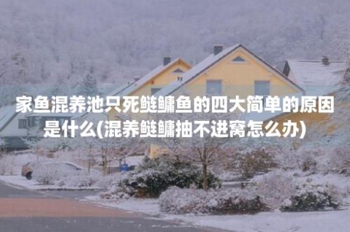 家鱼混养池只死鲢鳙鱼的四大简单的原因是什么(混养鲢鳙抽不进窝怎么办)