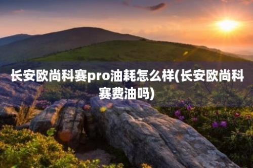 长安欧尚科赛pro油耗怎么样(长安欧尚科赛费油吗)