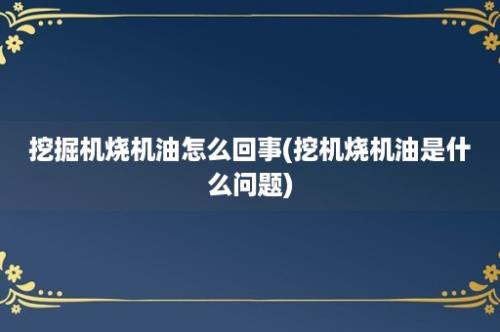 挖掘机烧机油怎么回事(挖机烧机油是什么问题)