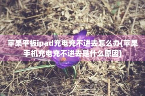 苹果平板ipad充电充不进去怎么办(苹果手机充电充不进去是什么原因)