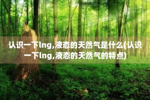 认识一下lng,液态的天然气是什么(认识一下lng,液态的天然气的特点)