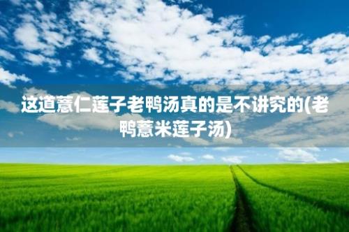 这道薏仁莲子老鸭汤真的是不讲究的(老鸭薏米莲子汤)