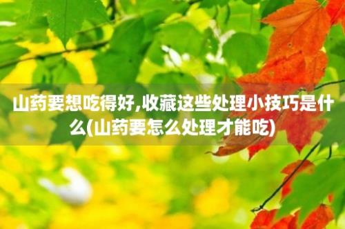 山药要想吃得好,收藏这些处理小技巧是什么(山药要怎么处理才能吃)