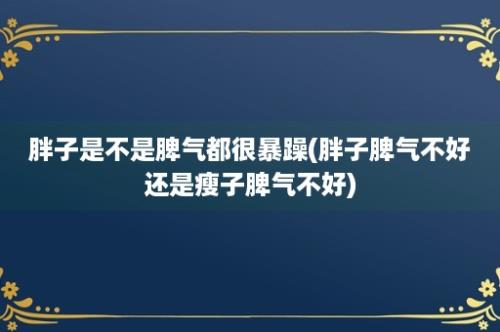 胖子是不是脾气都很暴躁(胖子脾气不好还是瘦子脾气不好)