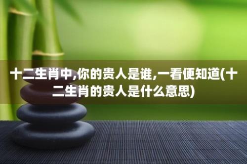 十二生肖中,你的贵人是谁,一看便知道(十二生肖的贵人是什么意思)