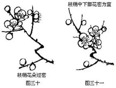 国画初学者入门步骤画梅花（大家一起学学国画梅花的各种画法）(22)