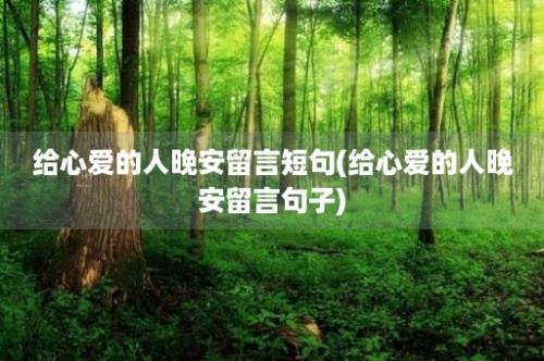 给心爱的人晚安留言短句(给心爱的人晚安留言句子)