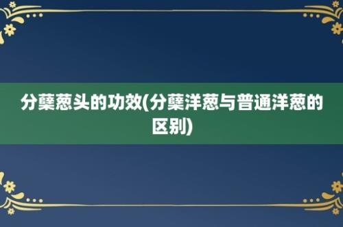 分蘖葱头的功效(分蘖洋葱与普通洋葱的区别)