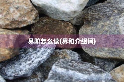 界阶怎么读(界和介组词)