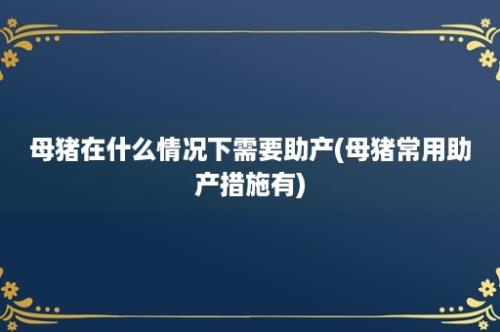 母猪在什么情况下需要助产(母猪常用助产措施有)