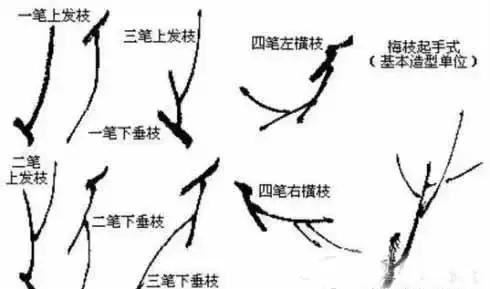 国画初学者入门步骤画梅花（大家一起学学国画梅花的各种画法）(3)