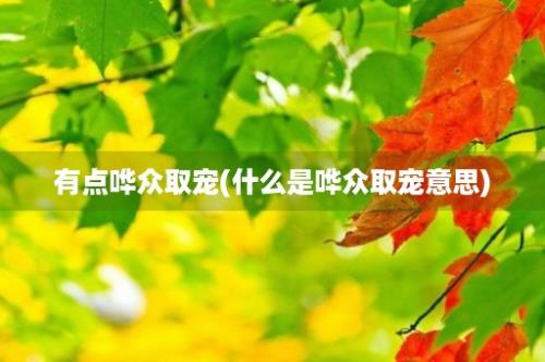 有点哗众取宠(什么是哗众取宠意思)