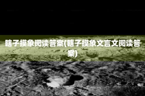 瞎子摸象阅读答案(瞎子摸象文言文阅读答案)