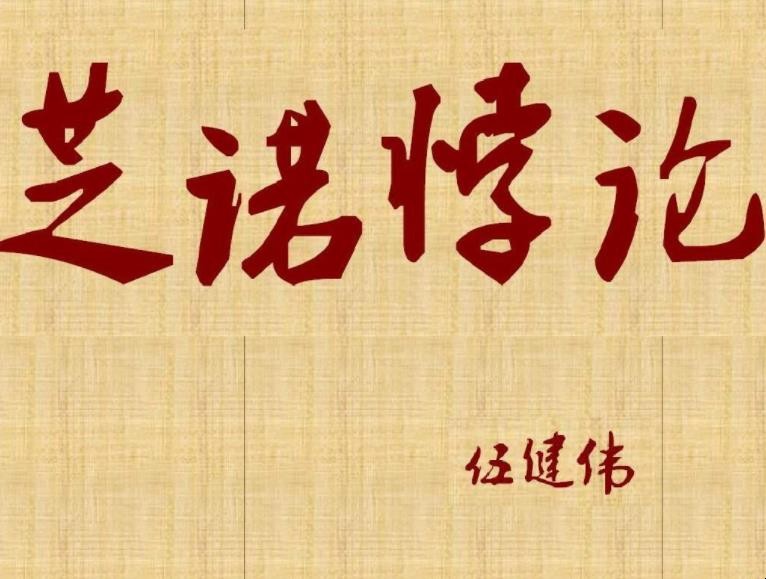 芝诺悖论的悖论学说是什么