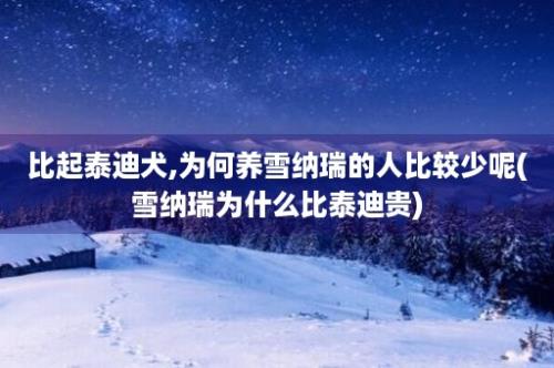 比起泰迪犬,为何养雪纳瑞的人比较少呢(雪纳瑞为什么比泰迪贵)