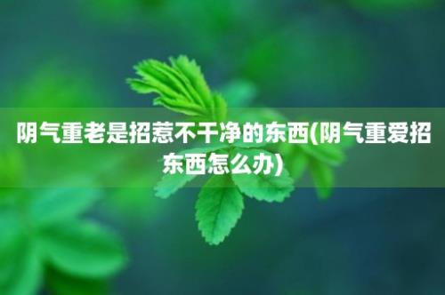 阴气重老是招惹不干净的东西(阴气重爱招东西怎么办)