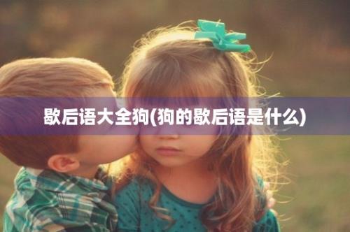 歇后语大全狗(狗的歇后语是什么)