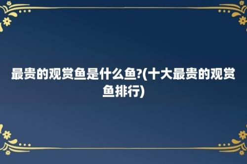 最贵的观赏鱼是什么鱼?(十大最贵的观赏鱼排行)