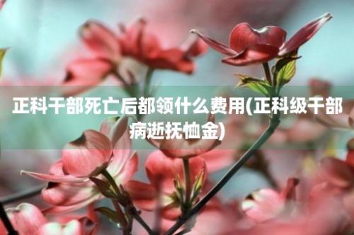 正科干部死亡后都领什么费用(正科级干部病逝抚恤金)