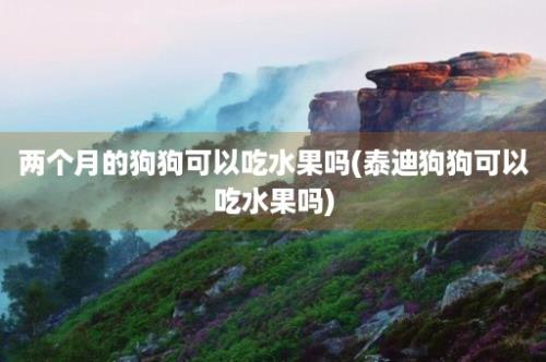 两个月的狗狗可以吃水果吗(泰迪狗狗可以吃水果吗)