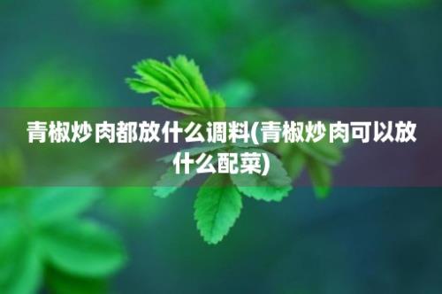 青椒炒肉都放什么调料(青椒炒肉可以放什么配菜)