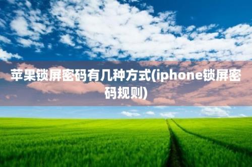 苹果锁屏密码有几种方式(iphone锁屏密码规则)