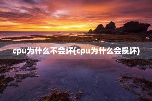 cpu为什么不会坏(cpu为什么会损坏)