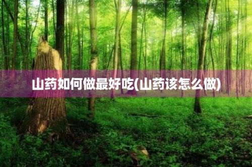 山药如何做最好吃(山药该怎么做)