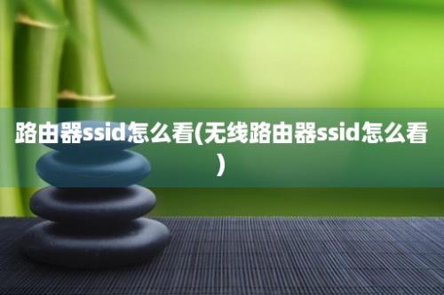 路由器ssid怎么看(无线路由器ssid怎么看)