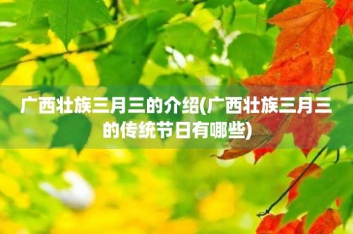 广西壮族三月三的介绍(广西壮族三月三的传统节日有哪些)