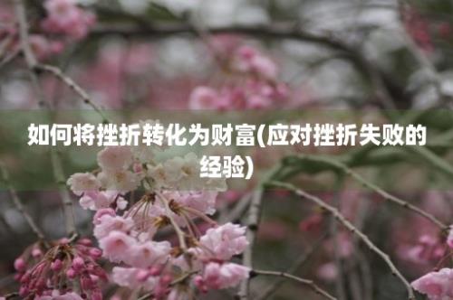 如何将挫折转化为财富(应对挫折失败的经验)